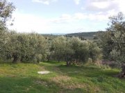 Kalyves Land mit großartigem Meerblick in Apokoronas zum Verkauf Grundstück kaufen